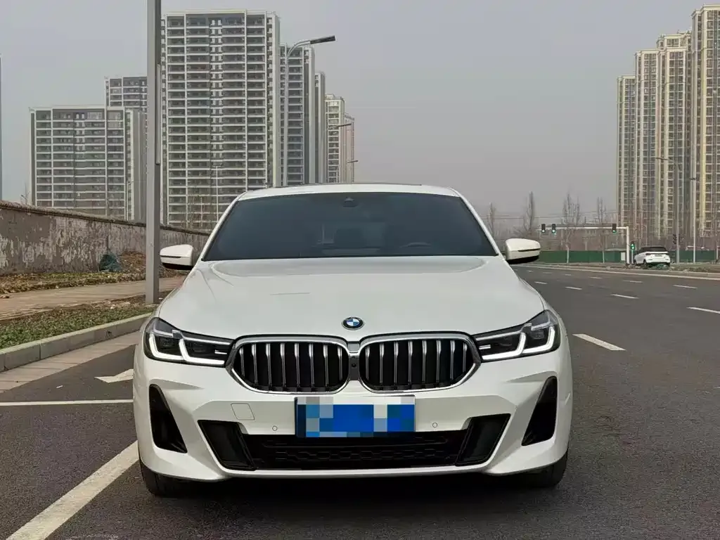BMW 6 Series GT 2021 из CN, фото 8