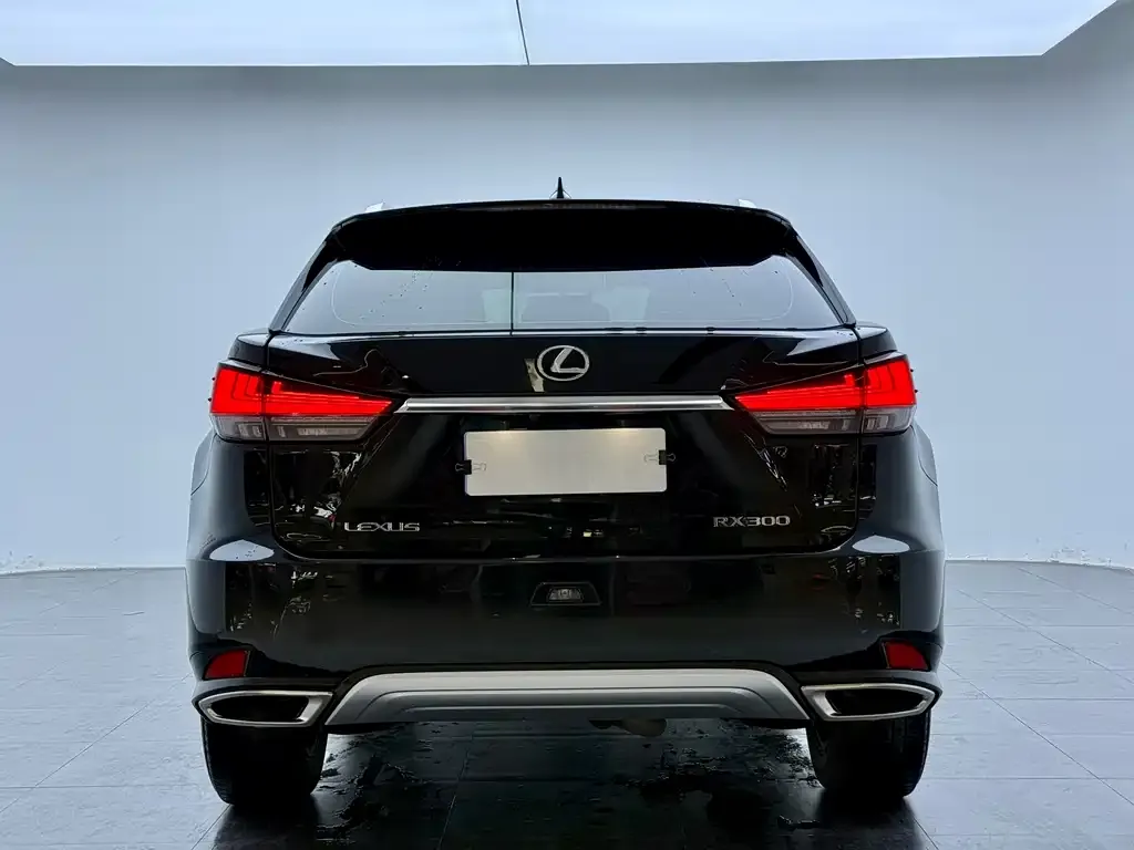 Lexus RX — фото 4
