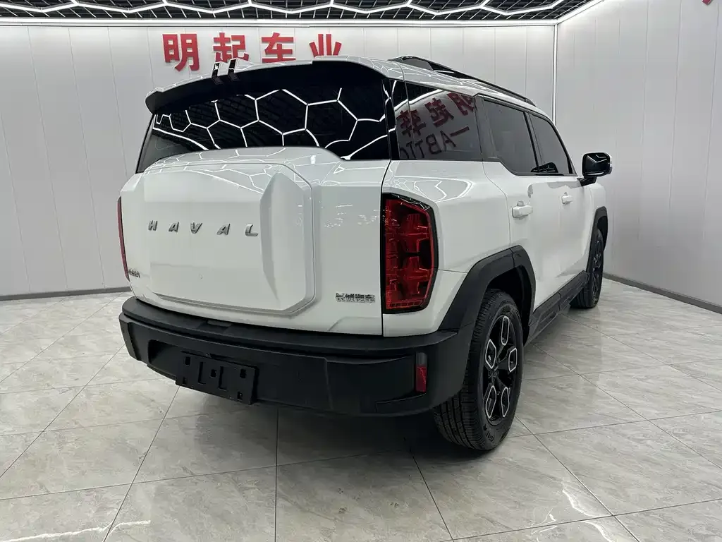 Haval Cool Dog — фото 10