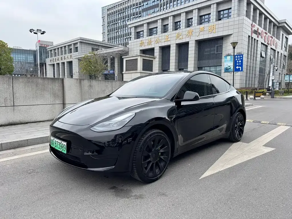 Tesla Model Y — фото 1