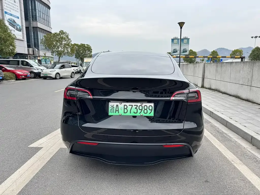 Tesla Model Y — фото 2
