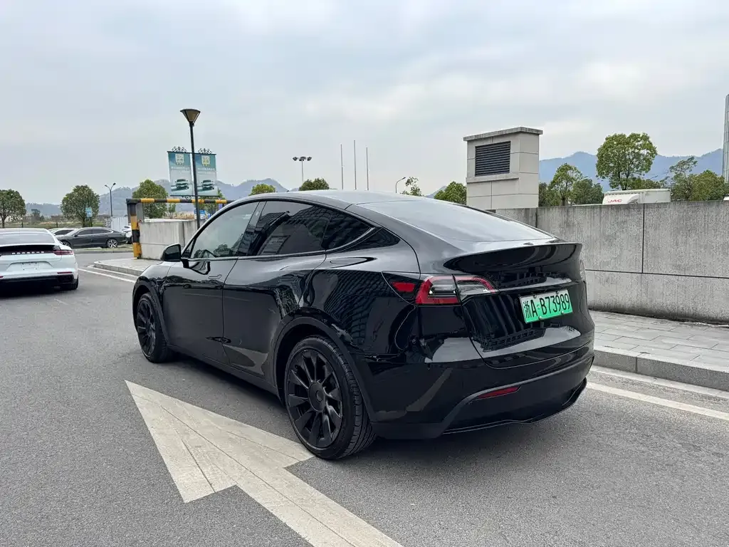 Tesla Model Y — фото 6