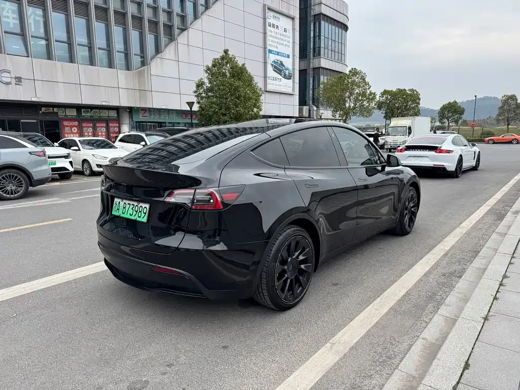 Tesla Model Y — фото 10