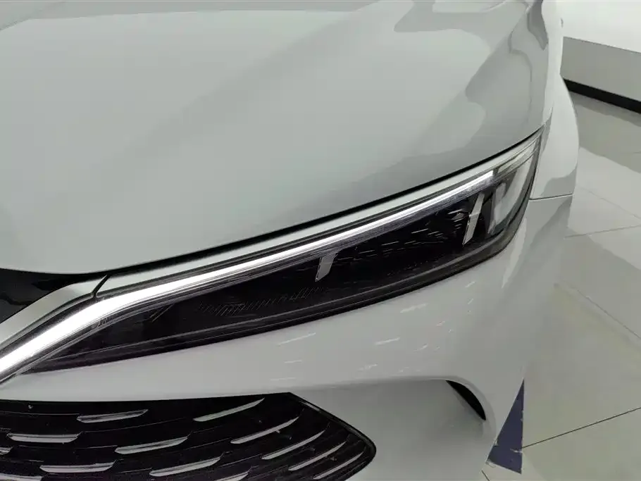 BYD Qin L 2024 из CN, фото 7