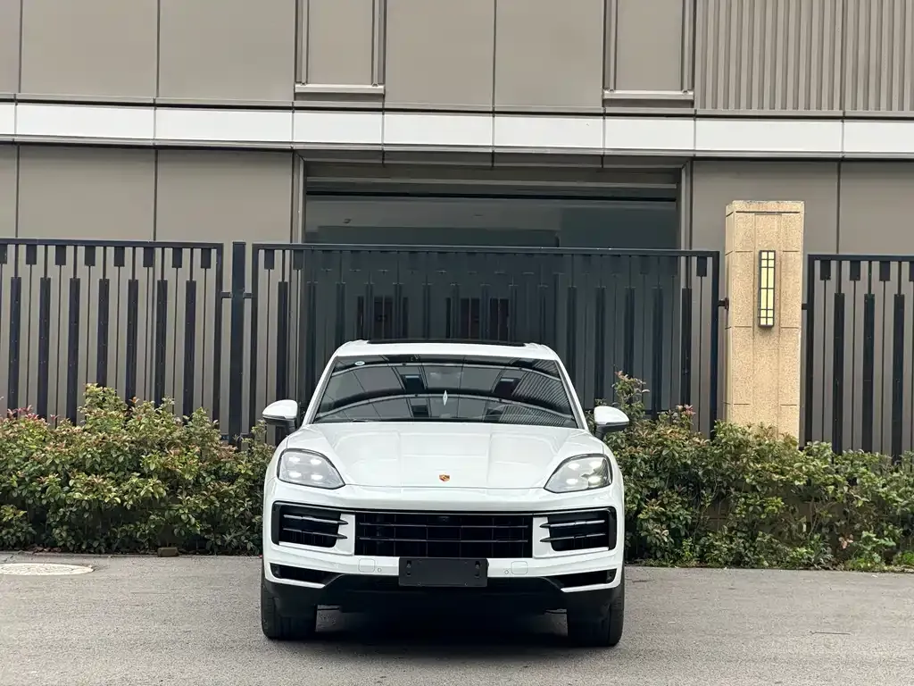 Porsche Cayenne — фото 6