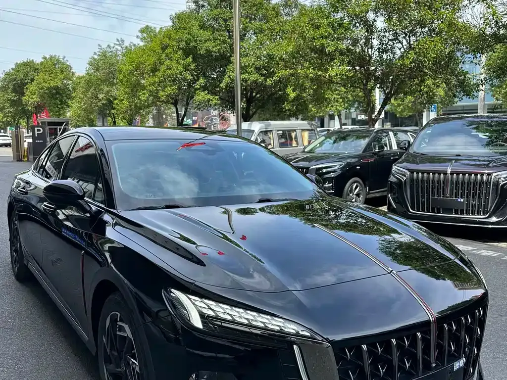Hongqi H6 2024 из CN, фото 8