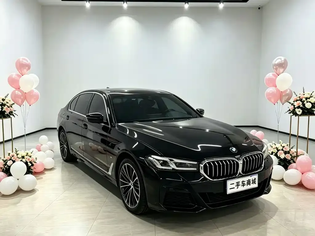BMW 5 Series — фото 1