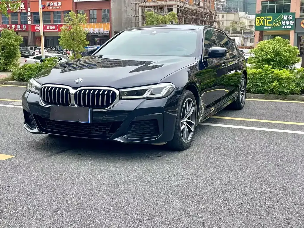 BMW 5 Series 2021 из CN, фото 1