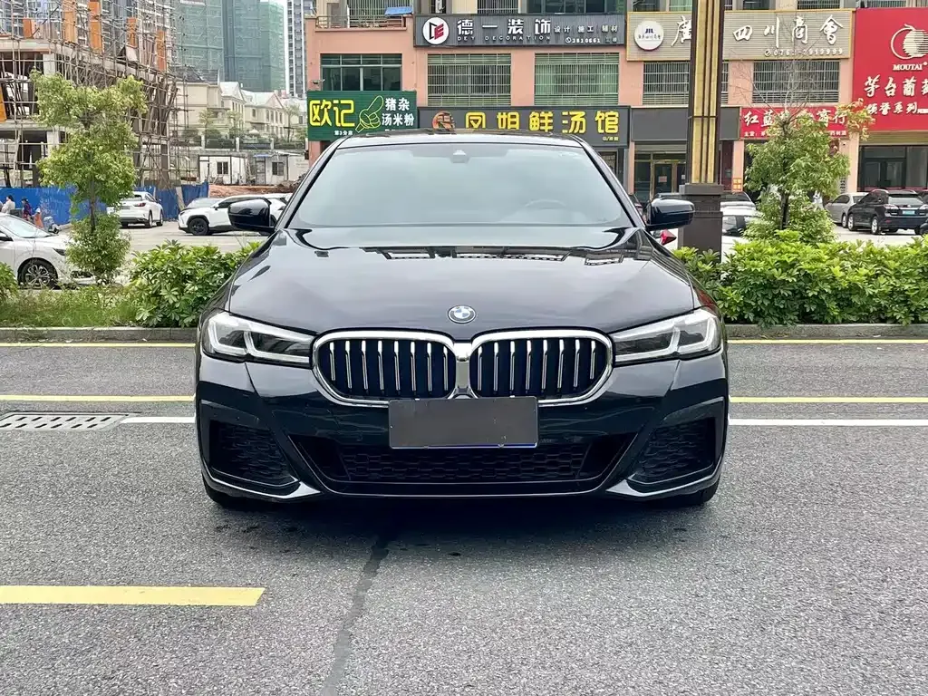 BMW 5 Series 2021 из CN, фото 5