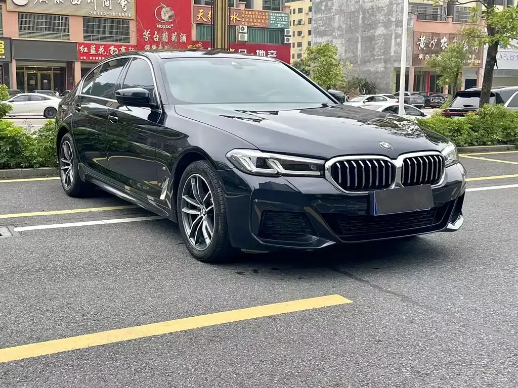 BMW 5 Series 2021 из CN, фото 6