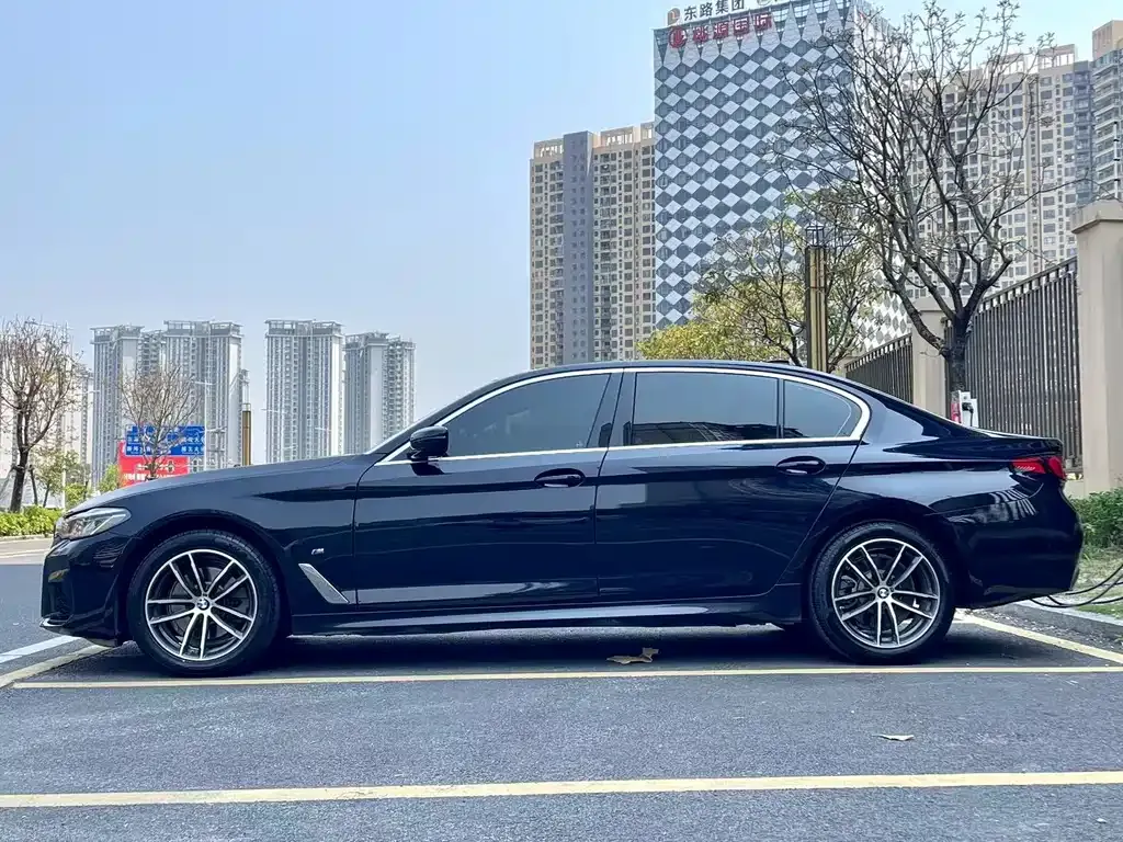 BMW 5 Series 2021 из CN, фото 4