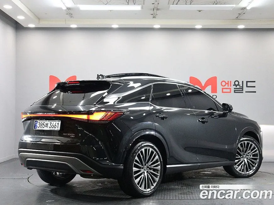 Lexus RX — фото 10