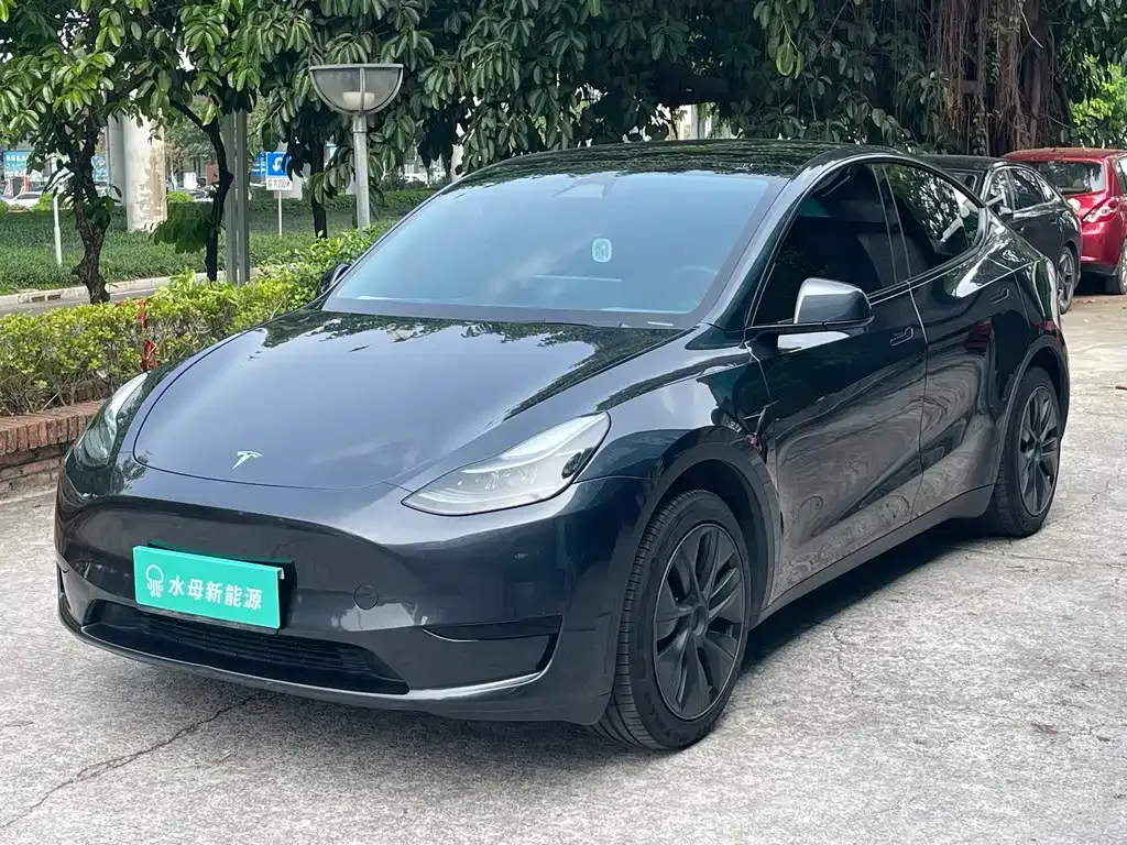 Tesla Model Y — фото 1