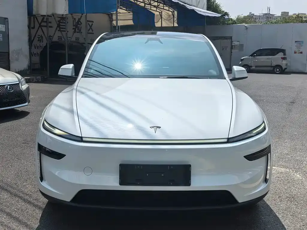 Tesla Model Y — фото 2