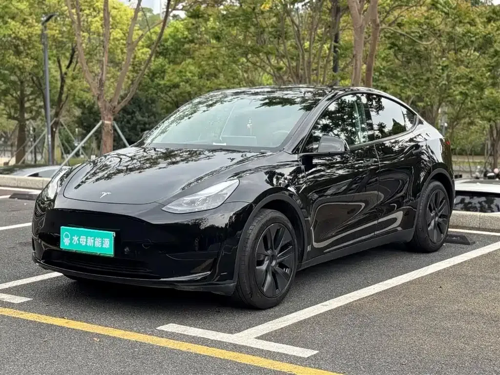 Tesla Model Y — фото 1