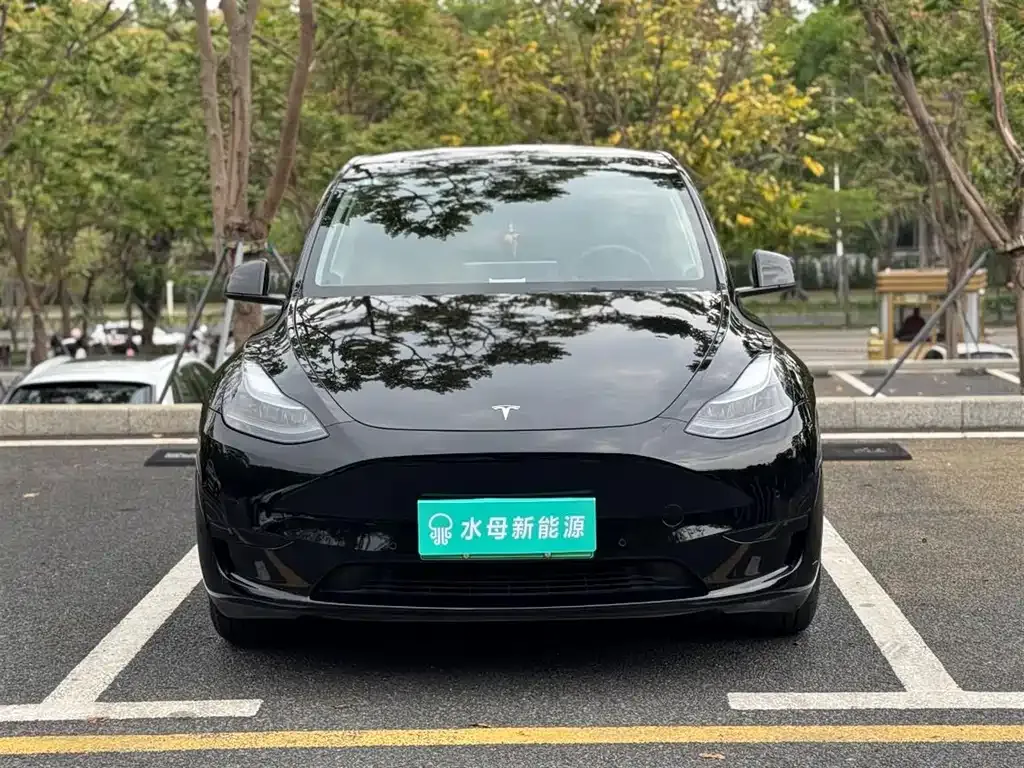 Tesla Model Y — фото 9