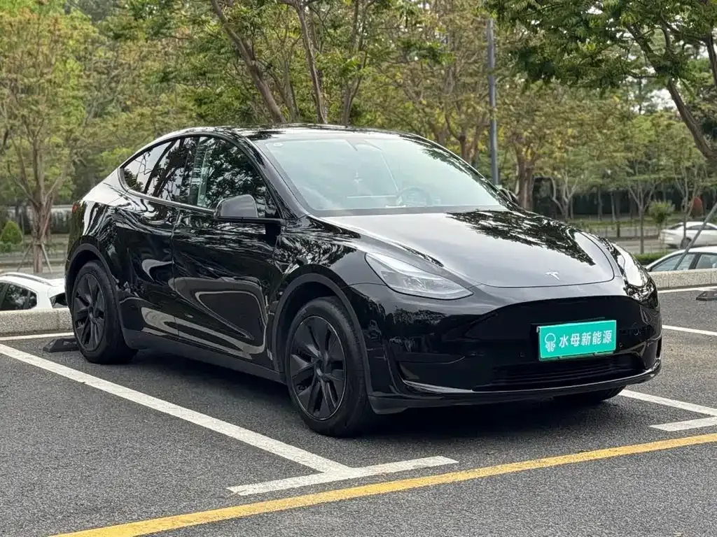 Tesla Model Y — фото 10