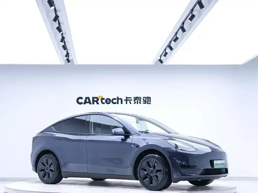 Tesla Model Y — фото 10