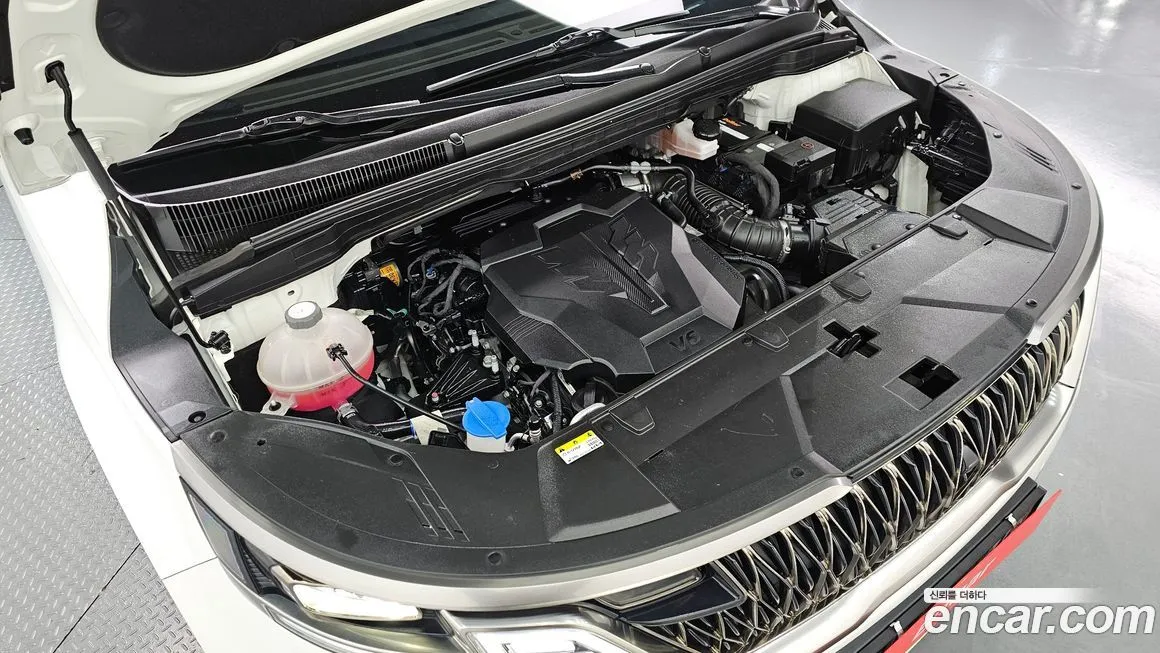Kia Carnival — фото 10