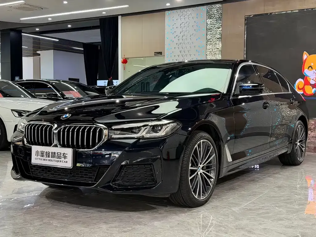 BMW 5 Series — фото 1