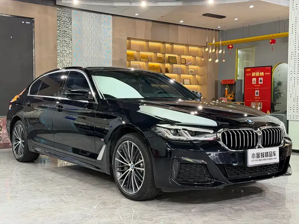 BMW 5 Series — фото 10