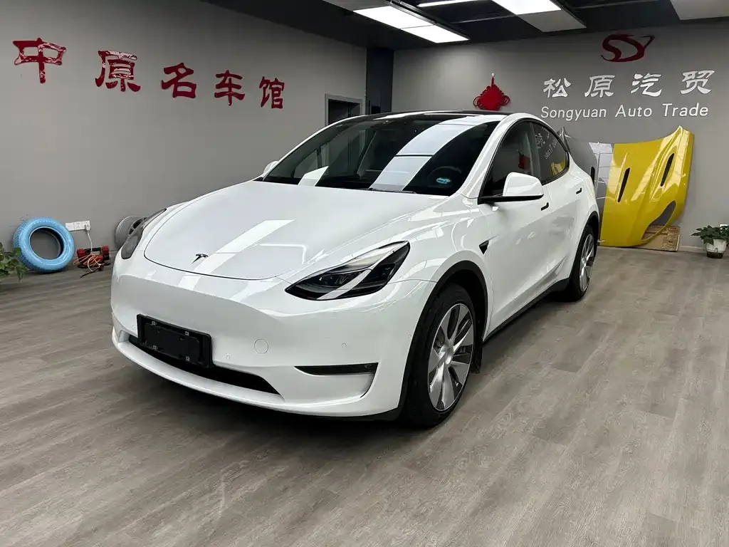 Tesla Model Y 2021 из CN, фото 1