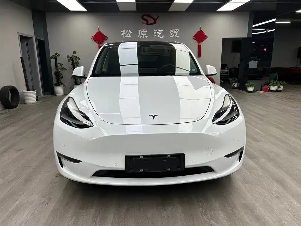Tesla Model Y 2021 из CN, фото 3