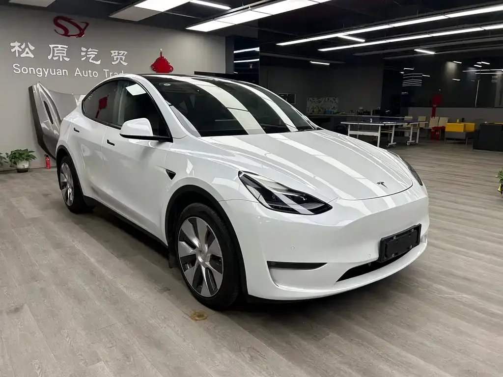Tesla Model Y 2021 из CN, фото 6