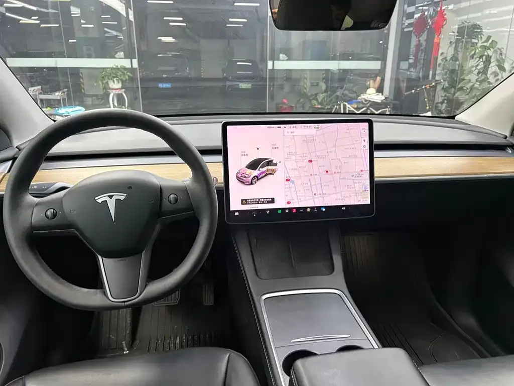 Tesla Model Y 2021 из CN, фото 7