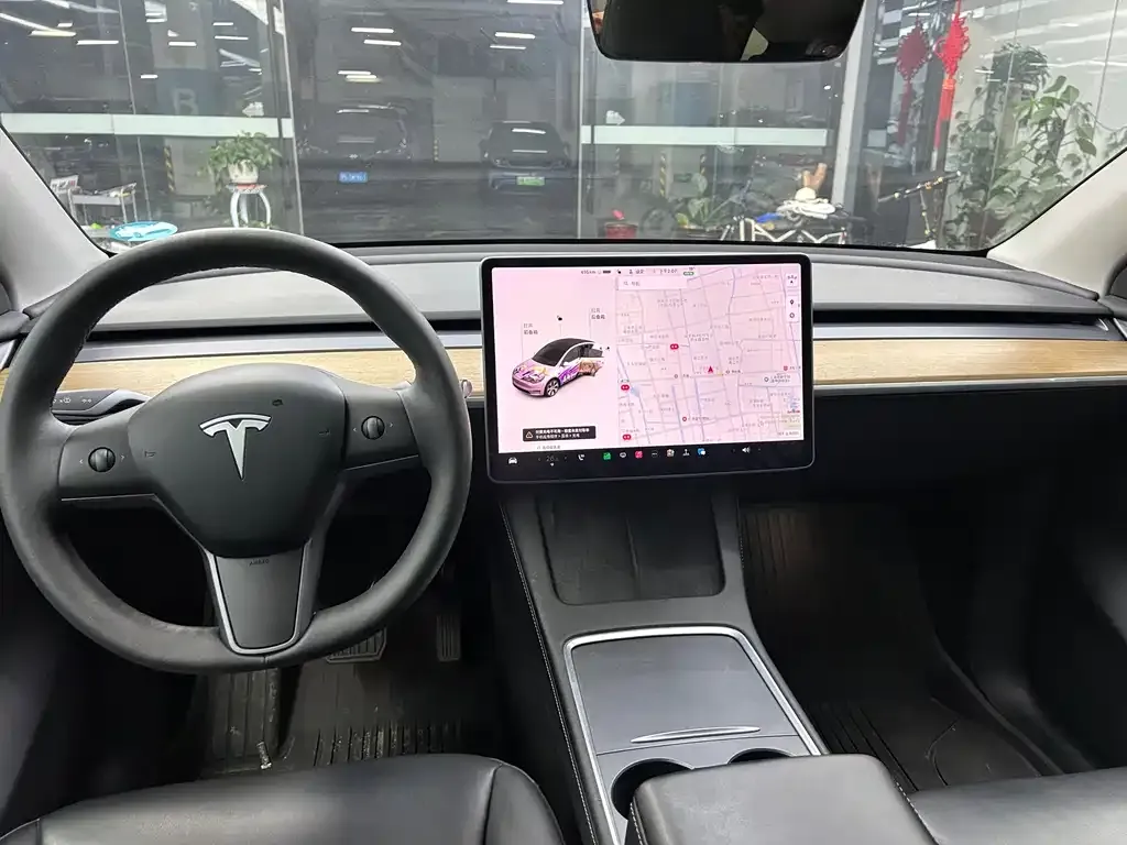 Tesla Model Y 2021 из CN, фото 9