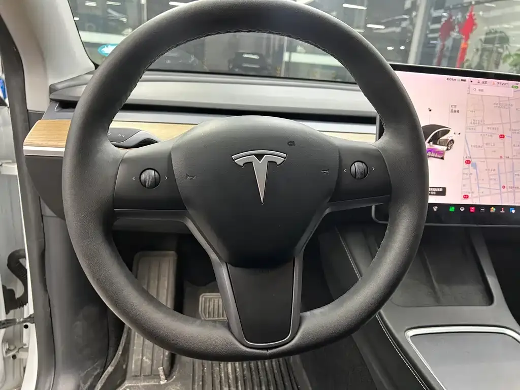 Tesla Model Y 2021 из CN, фото 4