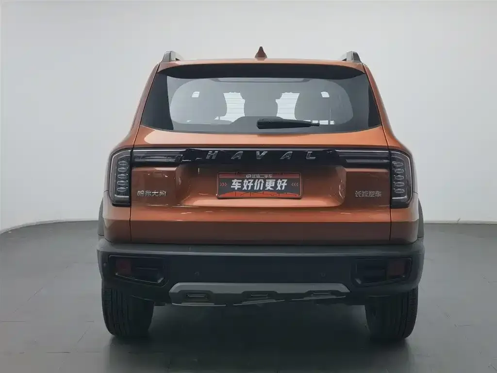 Haval Big Dog 2023 из CN, фото 6