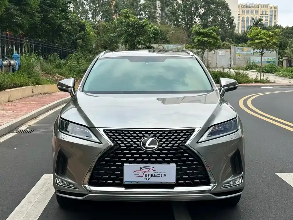 Lexus RX 2021 из CN, фото 6