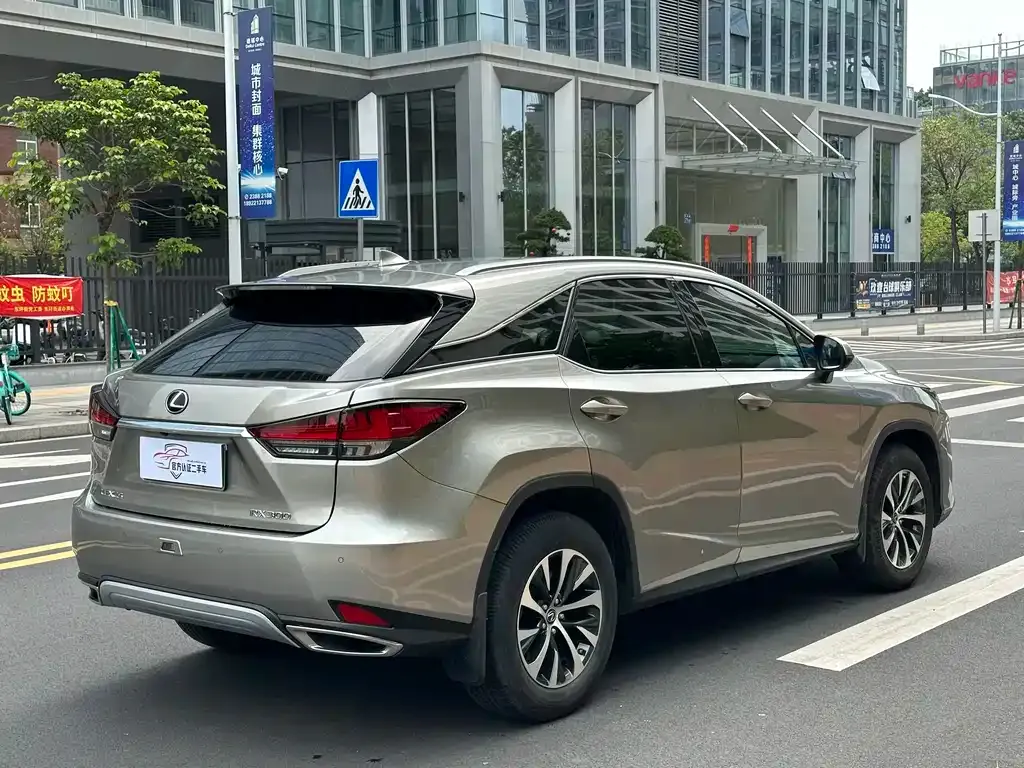Lexus RX 2021 из CN, фото 5