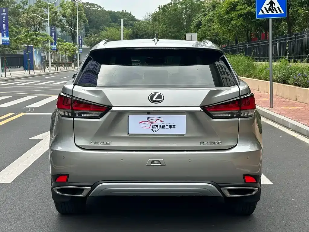 Lexus RX 2021 из CN, фото 8