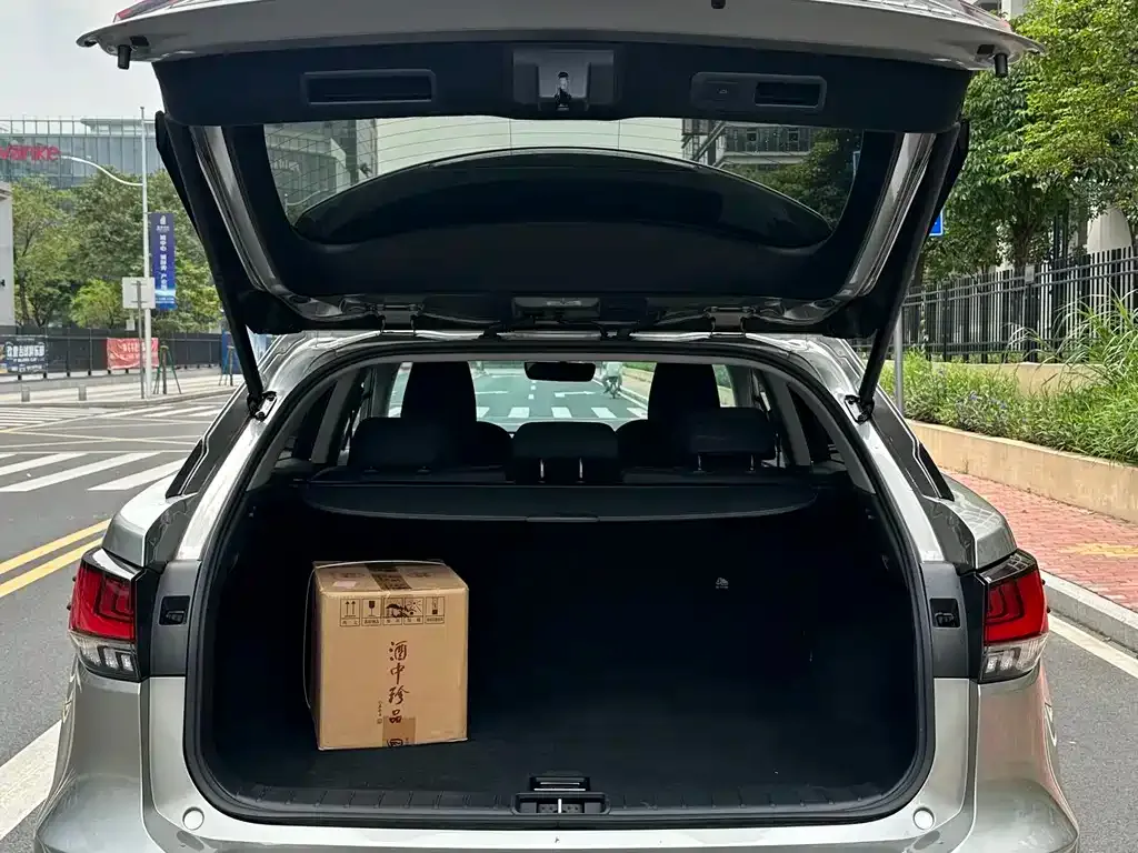 Lexus RX 2021 из CN, фото 3