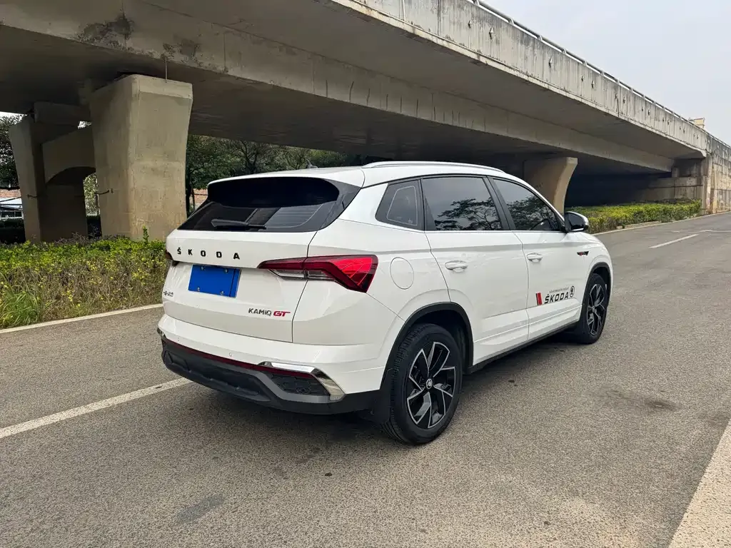Skoda Kamiq 2021 из CN, фото 6
