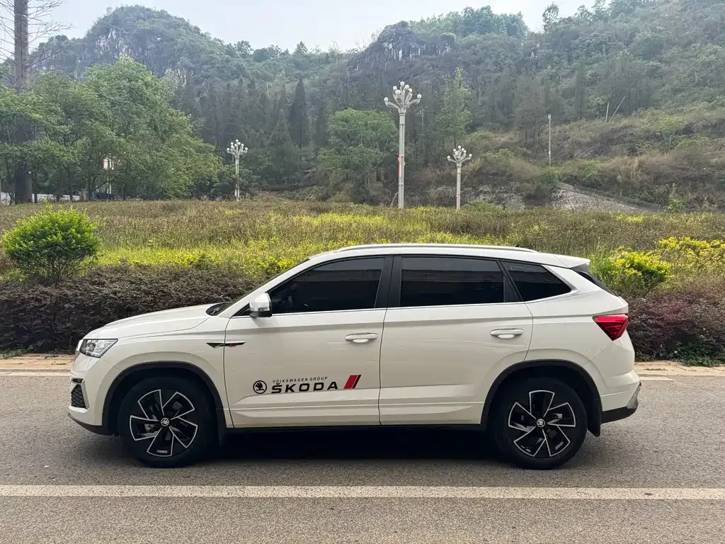 Skoda Kamiq 2021 из CN, фото 8
