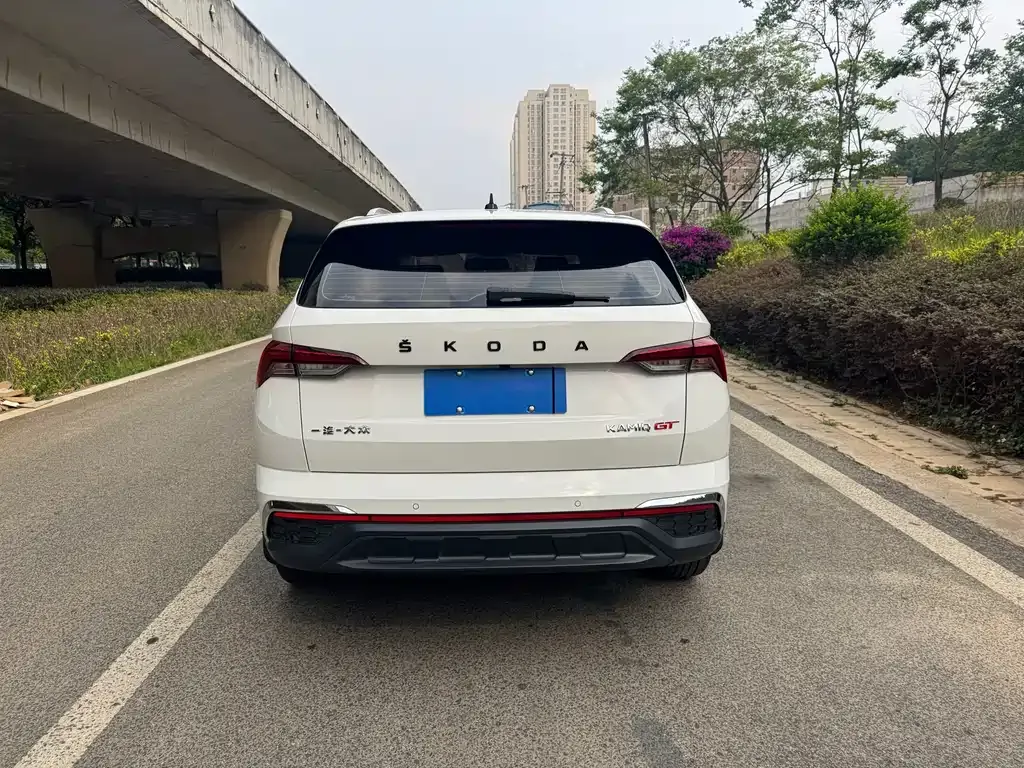 Skoda Kamiq 2021 из CN, фото 9