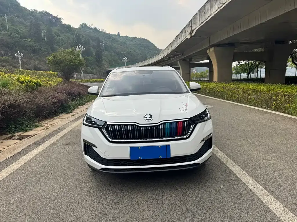 Skoda Kamiq 2021 из CN, фото 5