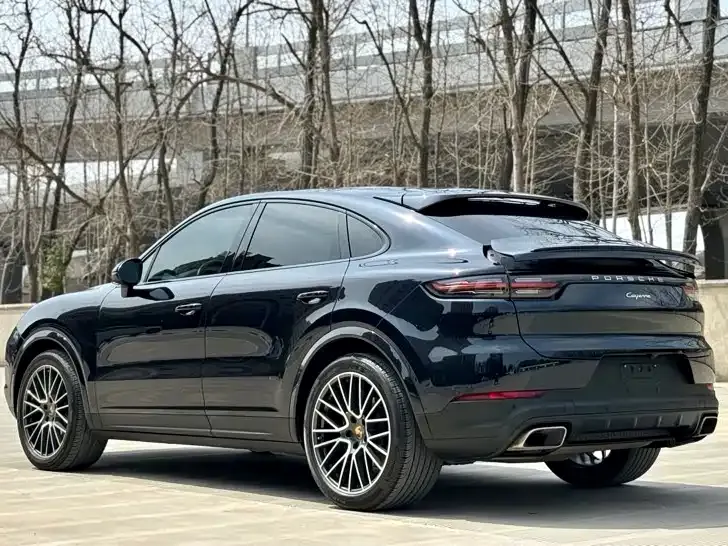 Porsche Cayenne — фото 6