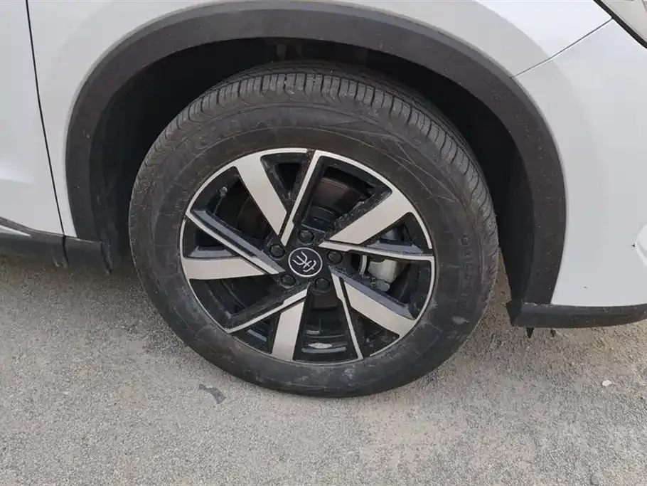 BYD Pro New Energy — фото 7