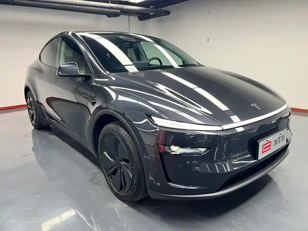 Tesla Model Y — фото 4