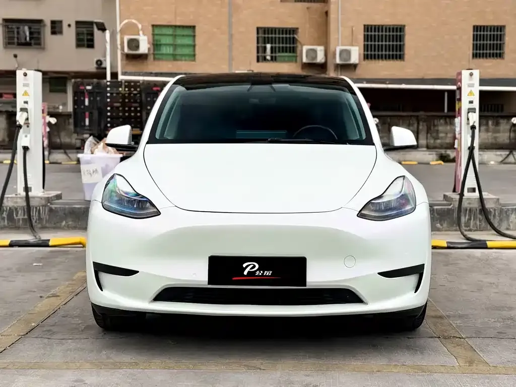 Tesla Model Y — фото 10