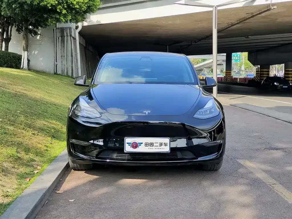 Tesla Model Y — фото 6