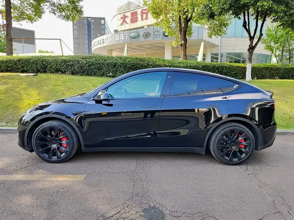 Tesla Model Y — фото 10