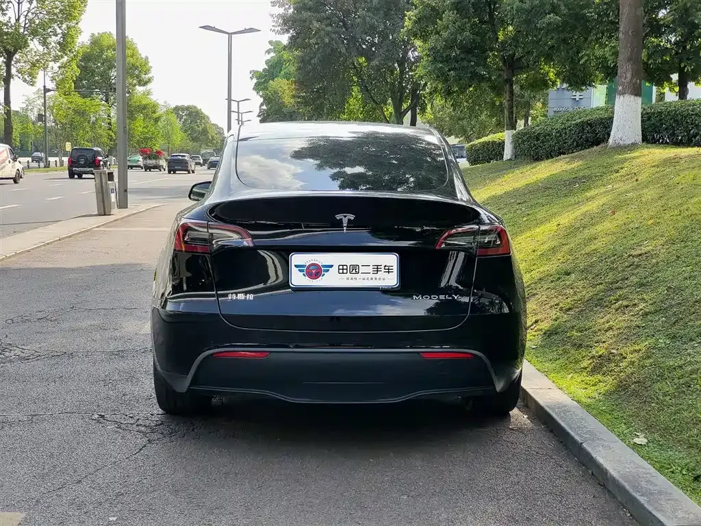 Tesla Model Y — фото 7