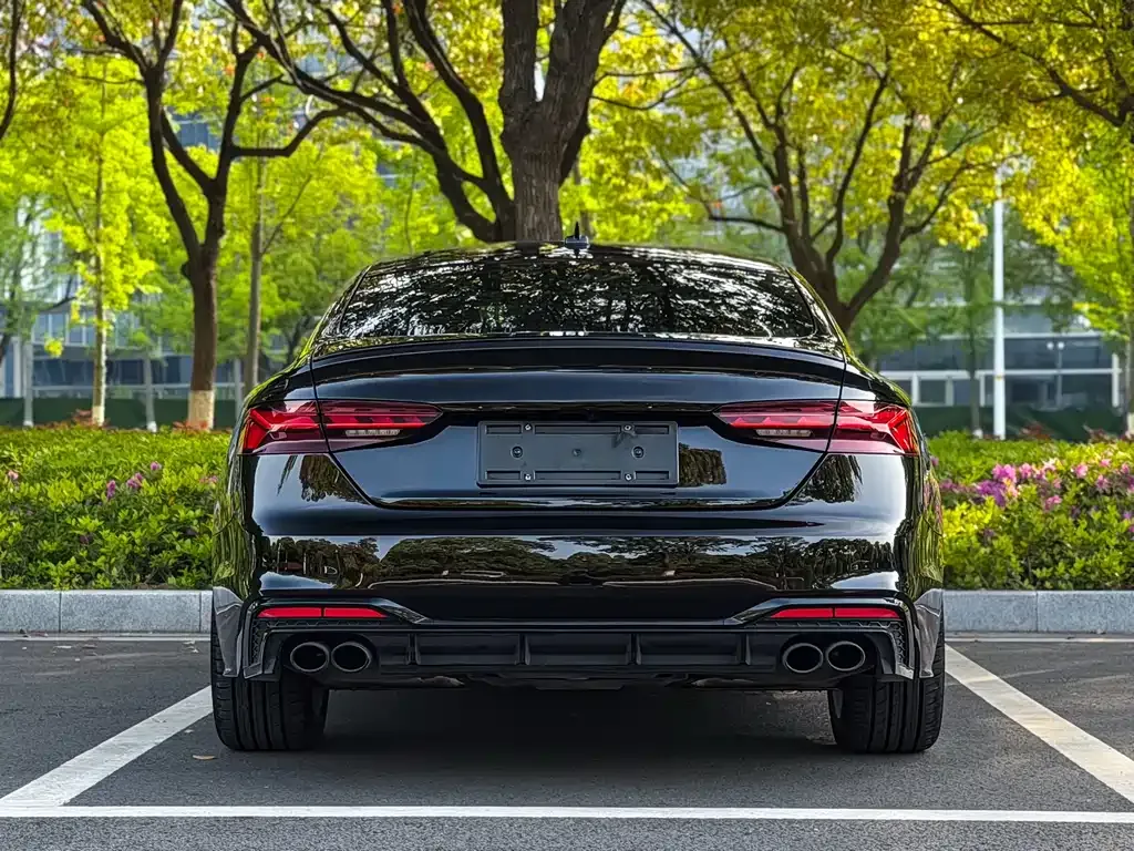 Audi A5 (Import) — фото 10