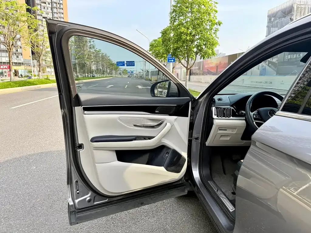 BYD PLUS New Energy — фото 8
