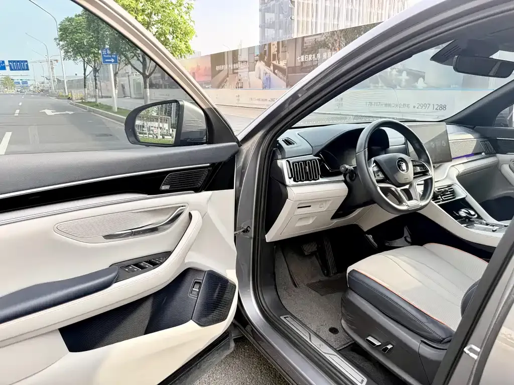 BYD PLUS New Energy — фото 4